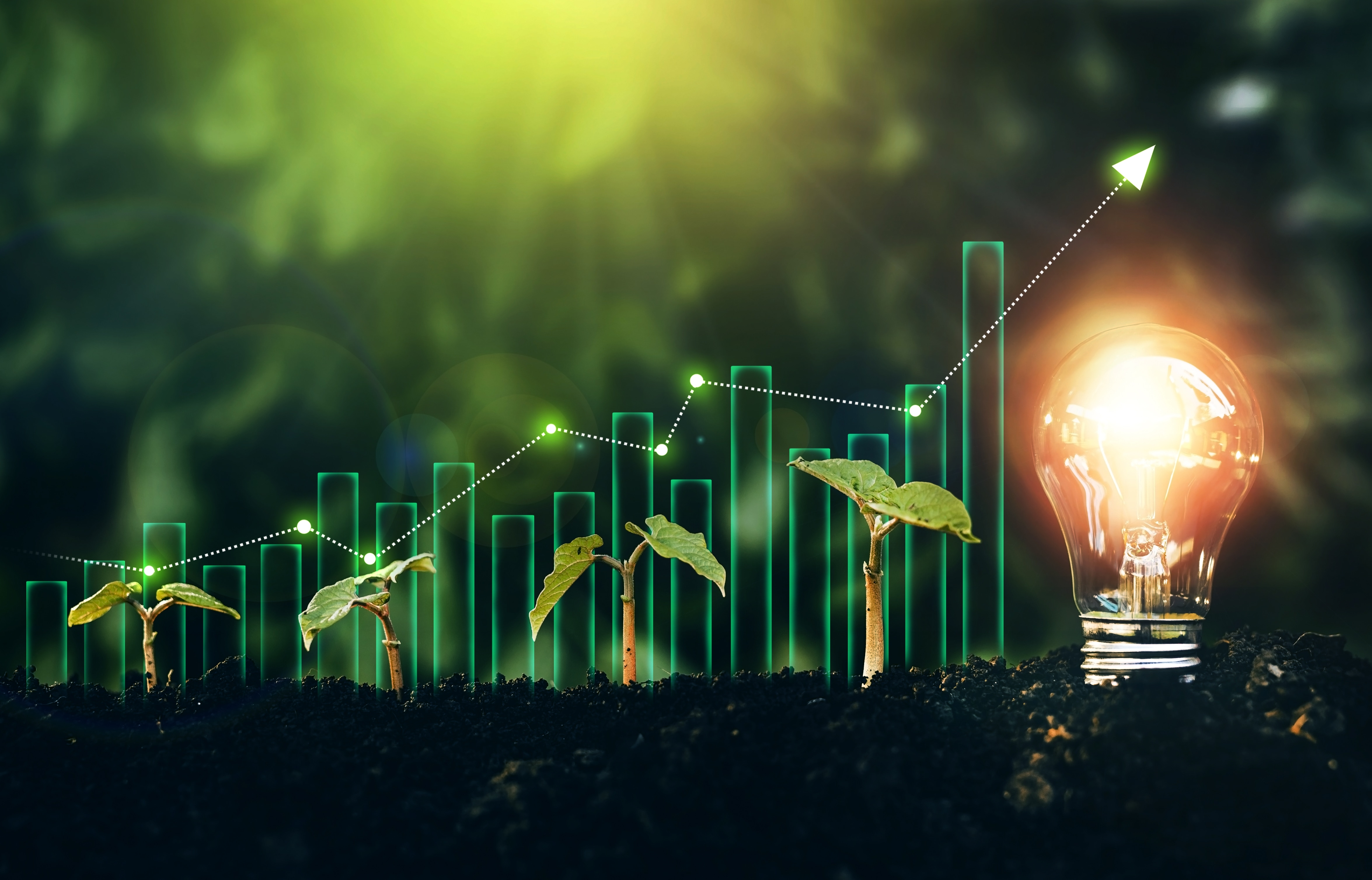 ITHMAR SEED FUNDING image